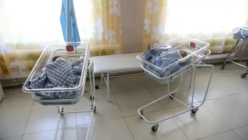 Девять пар близнецов родилось в феврале во Владивостоке