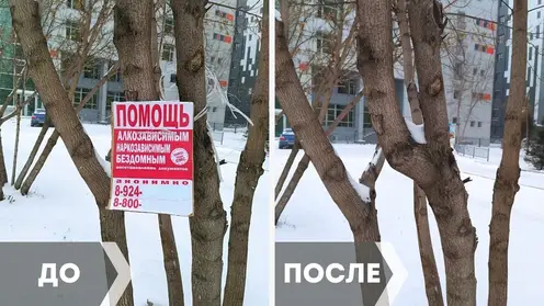В Красноярске вывезли 14 КамАЗов незаконной рекламы с улиц Центрального района в 2023 году