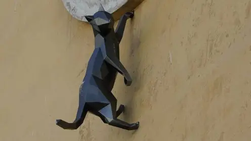 В Красноярске на доме появилась скульптура кота