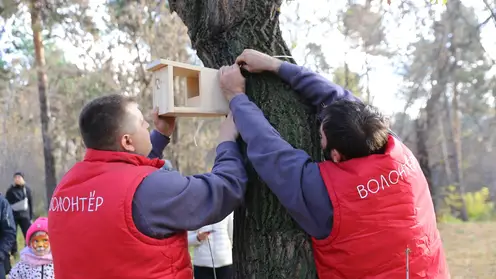 Волонтёры РУСАЛа организовали экоакцию по сбору орехов для белок Центрального парка